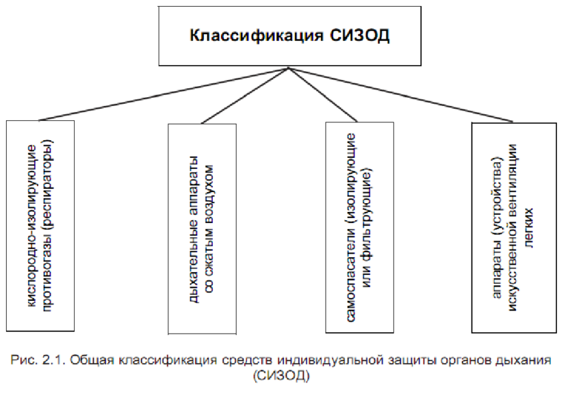 Функции непосредственного руководства газодымозащитной службой возлагаются