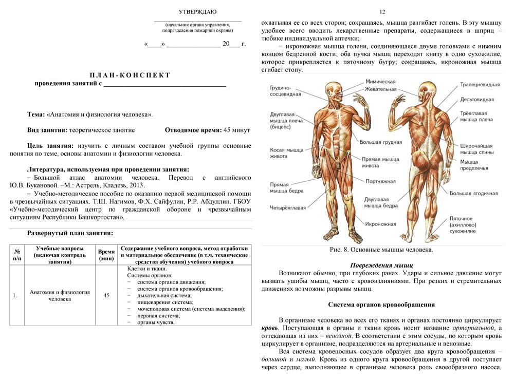 План-конспект: Анатомия и физиология человека (22 листа)
