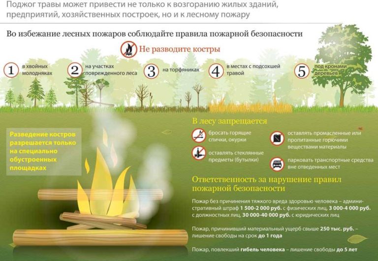 Картинки для детей пожар в лесу причины