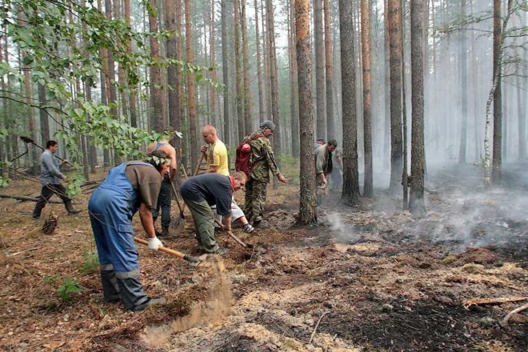 Природные пожары картинки