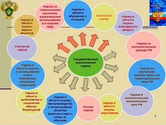Презентация государственный экологический надзор