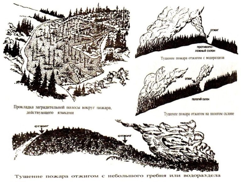 Схема тушения лесного пожара