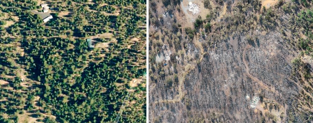 Пример картографии лесополосы после пожара