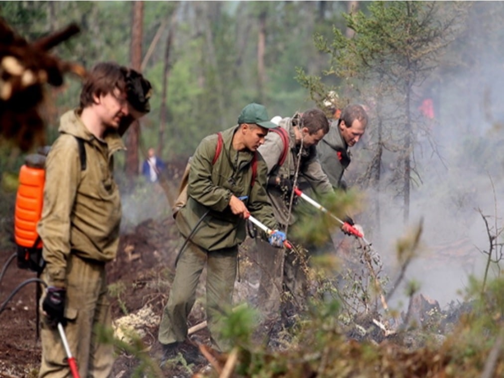 Волонтеры тушат лесной пожар